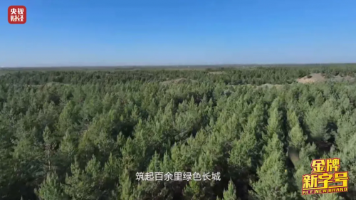 创造奇迹！这颗塞上“明珠”，世界瞩目→